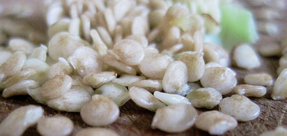 Bell Pepper Seeds