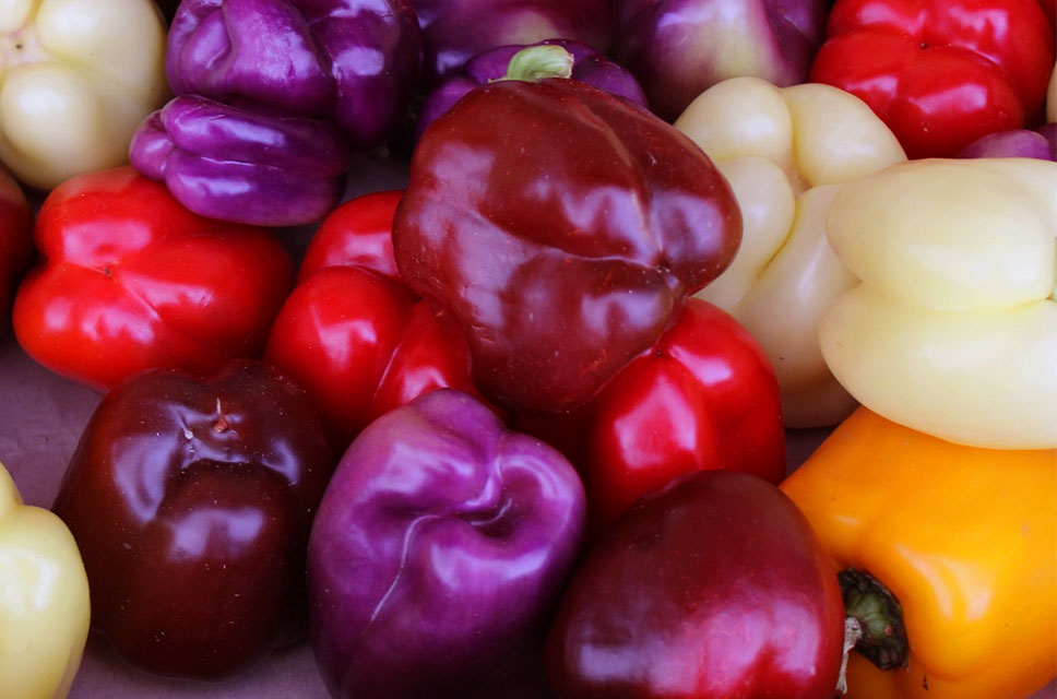 Bell Pepper Seeds